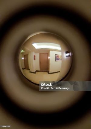 door fish eye lense